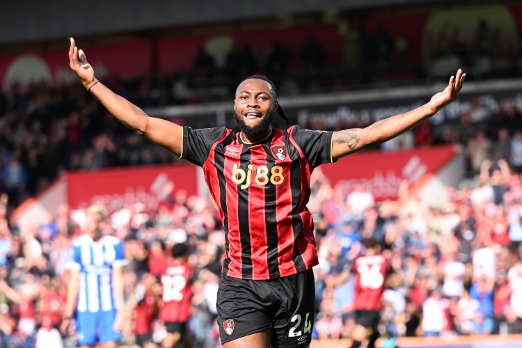 热刺和纽卡, 球迷 热刺和纽卡, 球迷